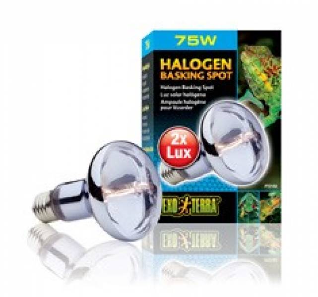 Preview: Exo Terra Halogen Basking Spot